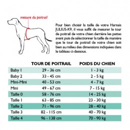 Harnais Julius K9 IDC Power pour petit chien taille mini