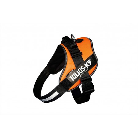 Harnais Julius-K9 pour chien  Animalerie 100% discount : Harnais  Julius-K9 Power, anthracite