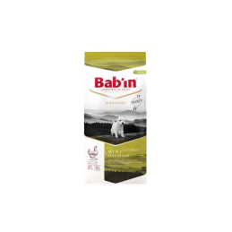 BABIN SIGNATURE - Chien...