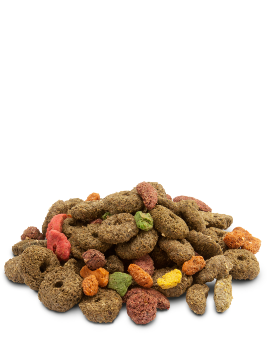 Crispy Snack Fibres