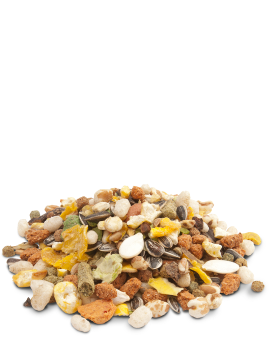 Crispy Muesli - Hamster & Co