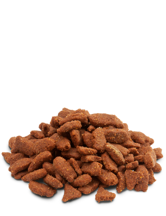 Crispy Pellets Furet - 3kg
