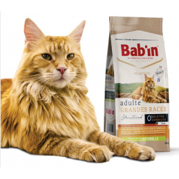 BABIN Selective - Chat...