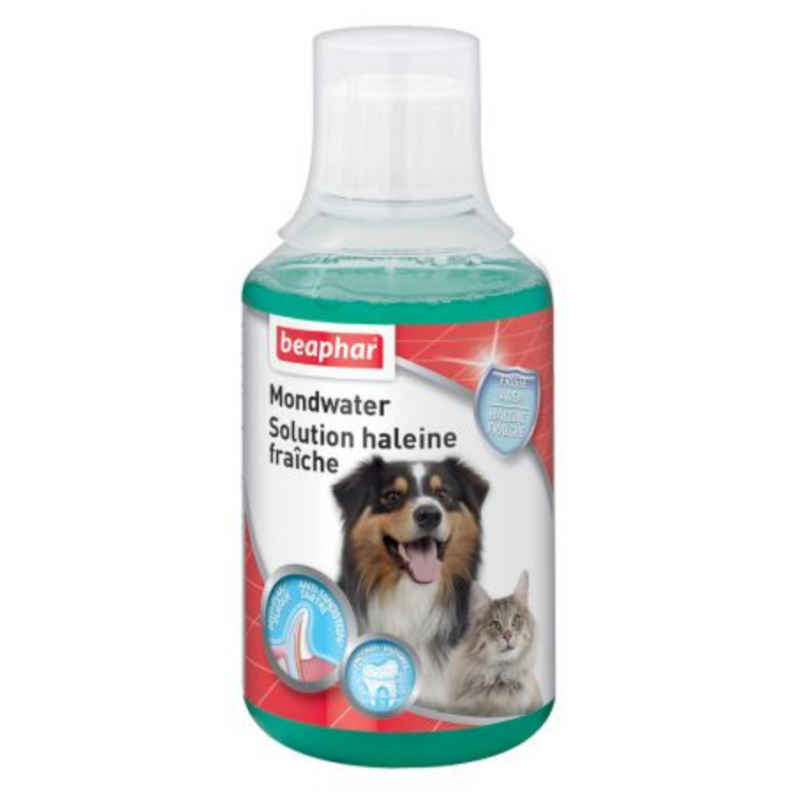 Mousse anti-puce naturelle sans rinçage pour chien et chat 150 ml - BEAPHAR