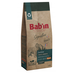 BABIN SIGNATURE - Chien...