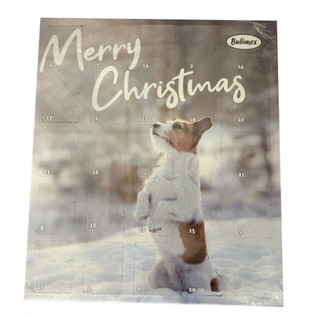 Calendrier de l'Avent - pour Chien