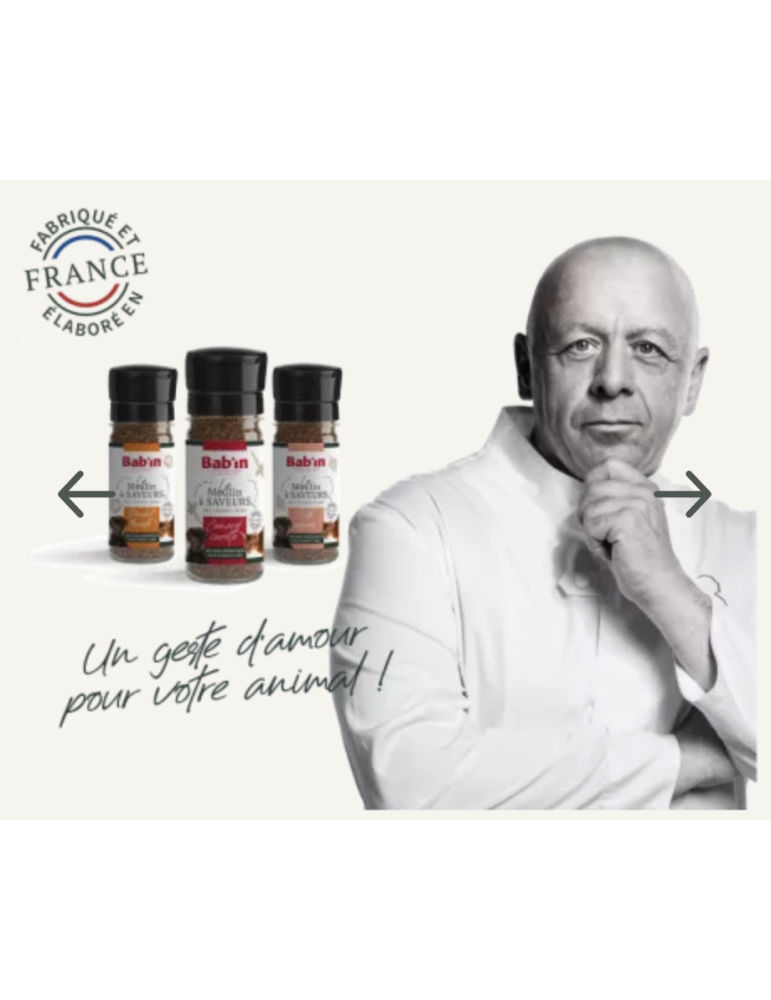 Le Moulin à Saveurs - Truite & Algues