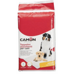 Tapis Absorbant (x25)