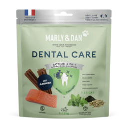 Dental Care Chien