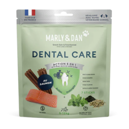 Dental Care Chien