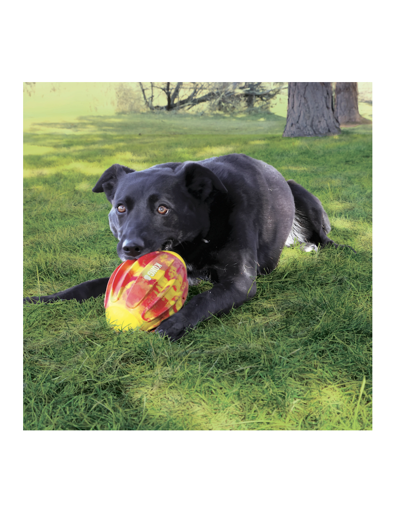 KONG Flexball - Balle texturée pour chien énergique