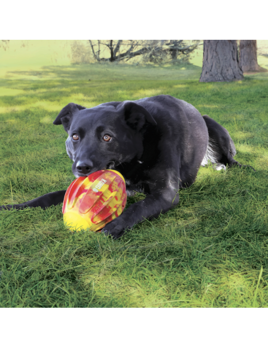 KONG Flexball - Balle texturée pour chien énergique