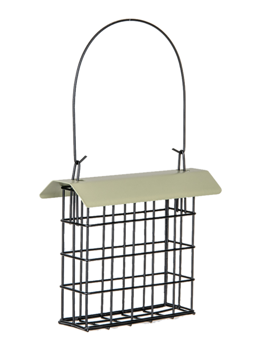 graisse pour oiseaux des jardins
