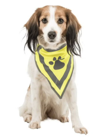 Bandana Réfléchissant