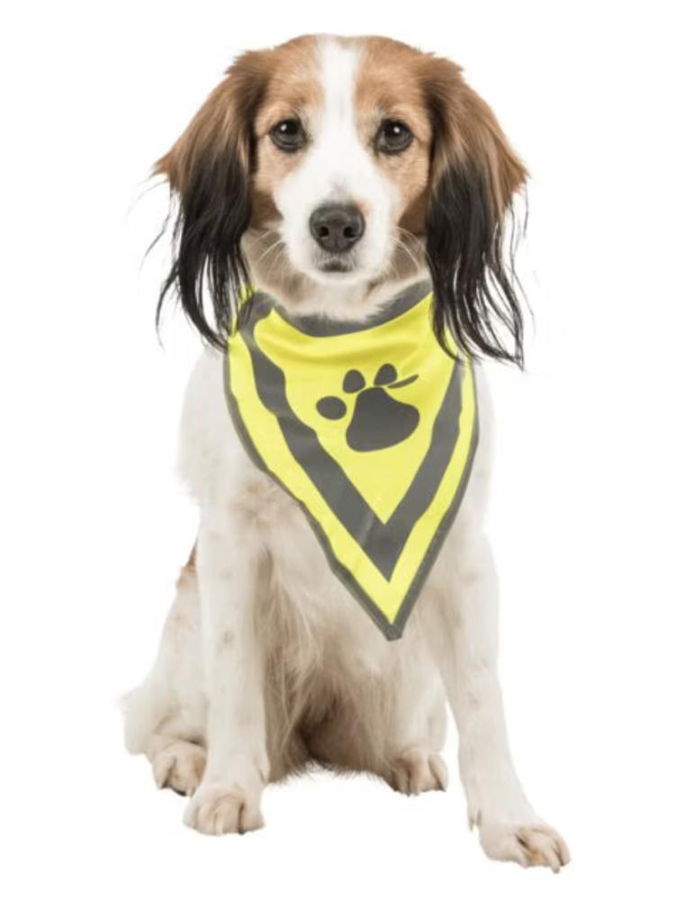Bandana Réfléchissant