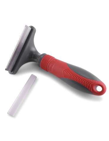 Brosse Carde