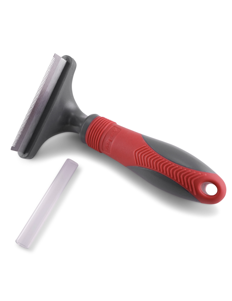 Brosse Carde