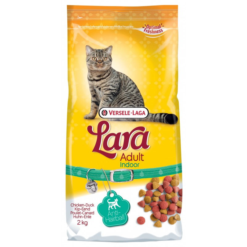 LARA ADULTE INDOOR