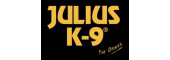 JULIUS
